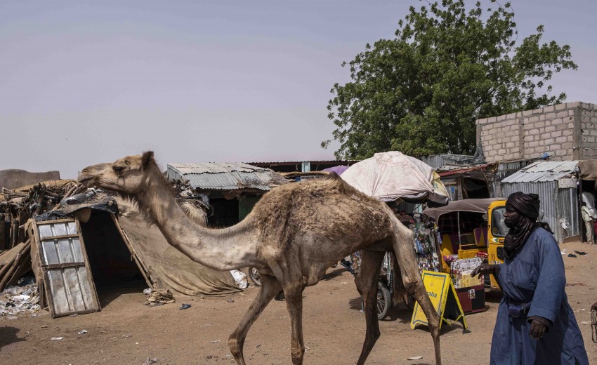 Et glimt af Niger - kultur og mangfoldighed