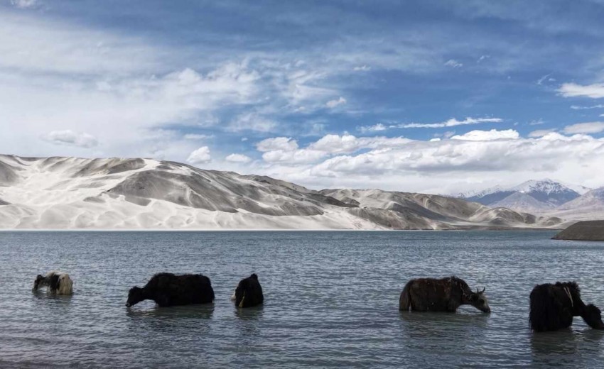Silkevejsodyssé – Kasakhstan, Kina og Pakistan