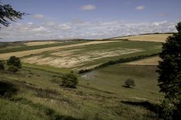 The Saxon Shore and The White Cliffs of Dover (England) (5)