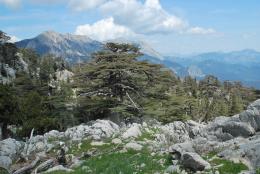 Lycian Way - Hiking along the coast, Turkey (6)