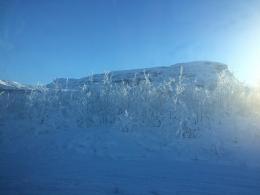 Abisko National Park: A Nordic Winter Wonderland (10)