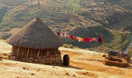 Experience the Best of South Africa, Lesotho and Eswatini on a Wildlife Safari Tour (11)