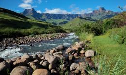 Experience the Best of South Africa, Lesotho and Eswatini on a Wildlife Safari Tour (10)