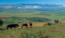 Experience the Best of South Africa, Lesotho and Eswatini on a Wildlife Safari Tour (9)