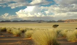 Experience the Best of South Africa, Lesotho and Eswatini on a Wildlife Safari Tour (2)