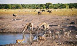 An epic 20-day safari in 4 countries (4)