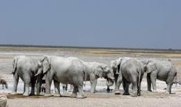 An epic 20-day safari in 4 countries (16)