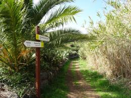 Trekking in Tenerife - Sun, Sea and Volcanic Rocks (Spain) (3)