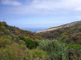 Trekking in Tenerife - Sun, Sea and Volcanic Rocks (Spain) (5)