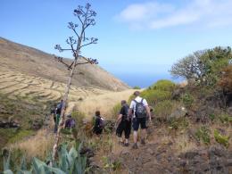 Trekking in Tenerife - Sun, Sea and Volcanic Rocks (Spain) (7)