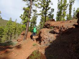Trekking in Tenerife - Sun, Sea and Volcanic Rocks (Spain) (10)