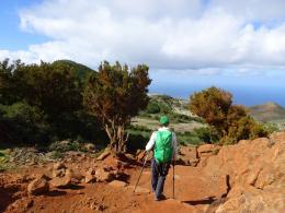 Trekking in Tenerife - Sun, Sea and Volcanic Rocks (Spain) (12)