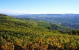 Walking tour in Barolo and Langhe Wine Region - Piemonte, Italy (1)