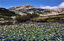 Peaks and Meadows: Pirin and Rhodope Mountain Trek (25)