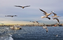 Along the Via Egnatia. From Durres to Istanbul
 (11)
