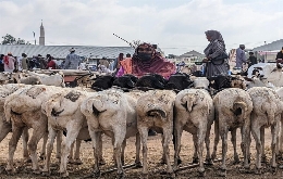 Somaliland and Djibouti - A Tour Back In Time (4)