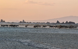 Somaliland and Djibouti - A Tour Back In Time (15)