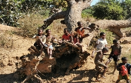 Discover Madagascar's Unique Biodiversity: A Journey through Alien Landscapes (15)