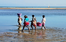 Discover Madagascar's Unique Biodiversity: A Journey through Alien Landscapes (10)