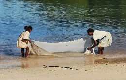 Discover Madagascar's Unique Biodiversity: A Journey through Alien Landscapes (4)