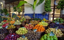An 8-day self-guided walking tour on Madeira Island (14)