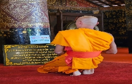 Laos Highlights,  Vientiane, Luang Prabang, Mekong and  Plain of Jars (4)