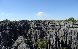 Discover Madagascar's Unique Biodiversity: A Journey through Alien Landscapes (21)