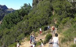 An 8-day self-guided walking tour on Madeira Island (3)