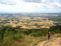Pamplona to Logrono. Camino de Santiago French Way - Part 2 (3)