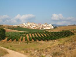 Pamplona to Logrono. Camino de Santiago French Way - Part 2 (7)