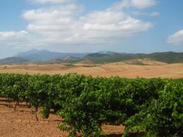 Pamplona to Logrono. Camino de Santiago French Way - Part 2 (6)