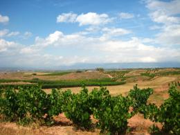 Logrono to Burgos. Camino de Santiago French Way - Part 3 (3)