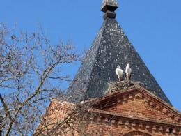 Leon to Ponferrada. Camino de Santiago French Way - Part 6 (2)