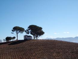 Ponferrada to Sarria. Camino de Santiago French Way - Part 7 (4)