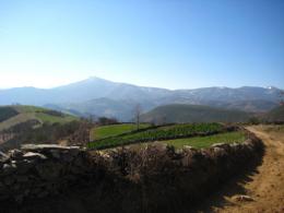 Ponferrada to Sarria. Camino de Santiago French Way - Part 7 (1)