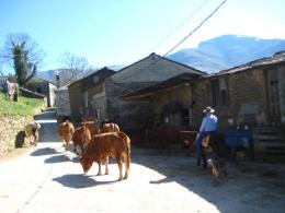 Ponferrada to Sarria. Camino de Santiago French Way - Part 7 (2)