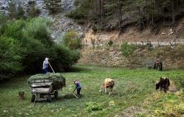 Peaks and Meadows: Pirin and Rhodope Mountain Trek (21)