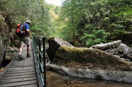 Peaks and Meadows: Pirin and Rhodope Mountain Trek (18)