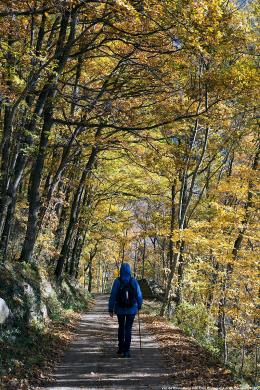 Explore Spanish Pyrenees: Self-Guided Hike (10)