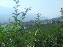 Self Guided Hiking the Heart of South Tyrol, Italy (5)