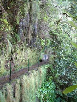 An 8-day self-guided walking tour on Madeira Island (11)