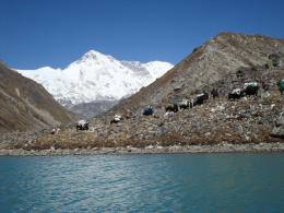 Trekking in Nepal - Everest Base Camp via Chola Pass and Gokyo Lake (8)