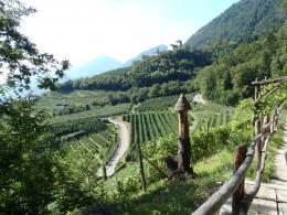 7 day one week self-guided walk on Via Claudia Augusta. Dogs friendly tour. (16)