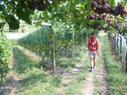 7 day one week self-guided walk on Via Claudia Augusta. Dogs friendly tour. (8)