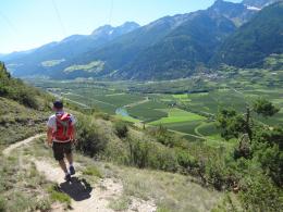 7 day one week self-guided walk on Via Claudia Augusta. Dogs friendly tour. (9)