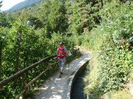 7 day one week self-guided walk on Via Claudia Augusta. Dogs friendly tour. (11)