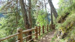 Alpine Splendor: Trekking from Meran to Lake Garda's Beauty (22)