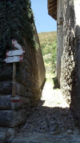 Alpine Splendor: Trekking from Meran to Lake Garda's Beauty (4)