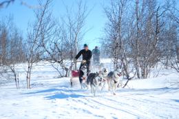 Abisko National Park: A Nordic Winter Wonderland (3)