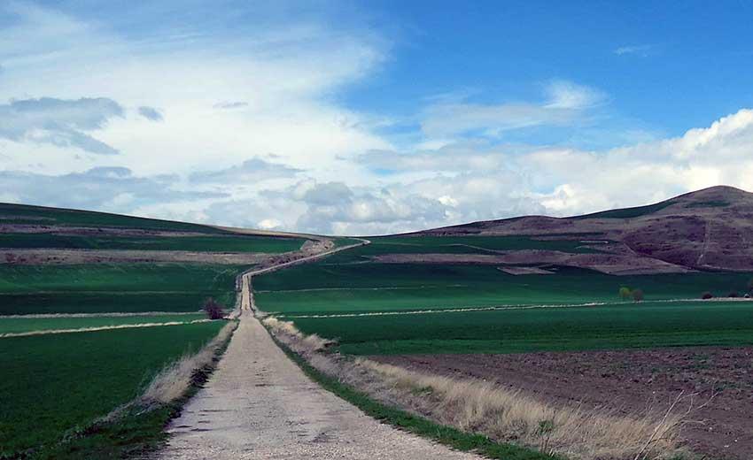 Caminoen (3) - Pilgrimsvandring fra Logroño til Burgos